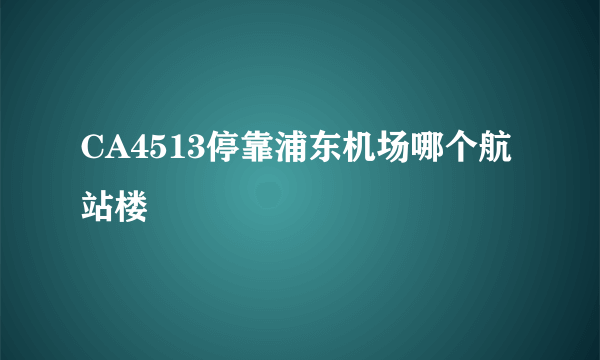 CA4513停靠浦东机场哪个航站楼