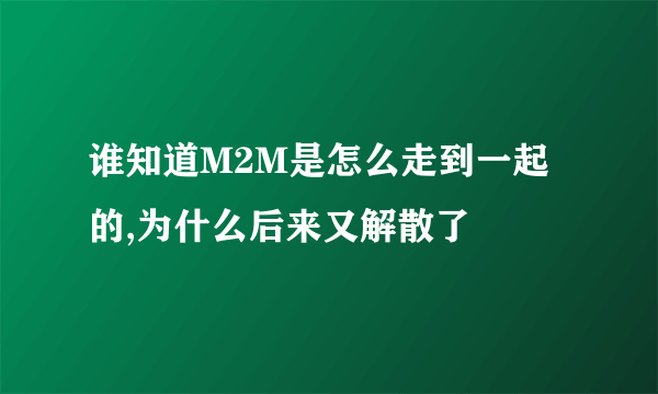 谁知道M2M是怎么走到一起的,为什么后来又解散了