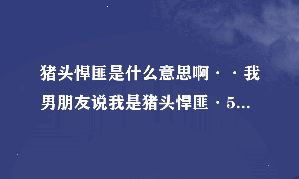 猪头悍匪是什么意思啊··我男朋友说我是猪头悍匪·555555·他是广东人·是不是什么粤语的谐音？