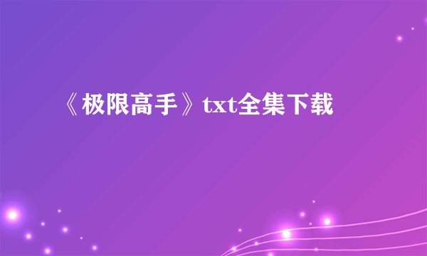 《极限高手》txt全集下载