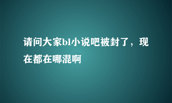 请问大家bl小说吧被封了，现在都在哪混啊