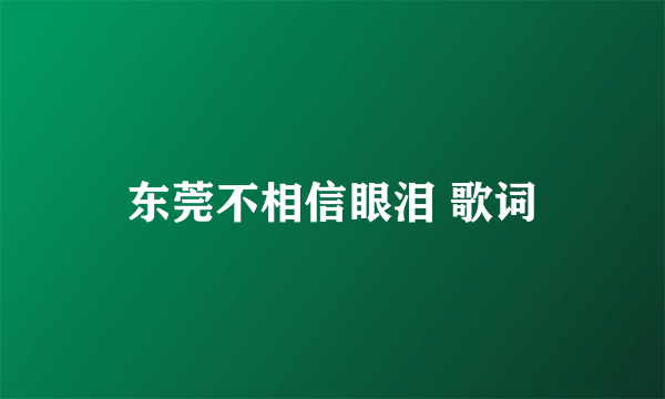 东莞不相信眼泪 歌词