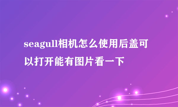 seagull相机怎么使用后盖可以打开能有图片看一下