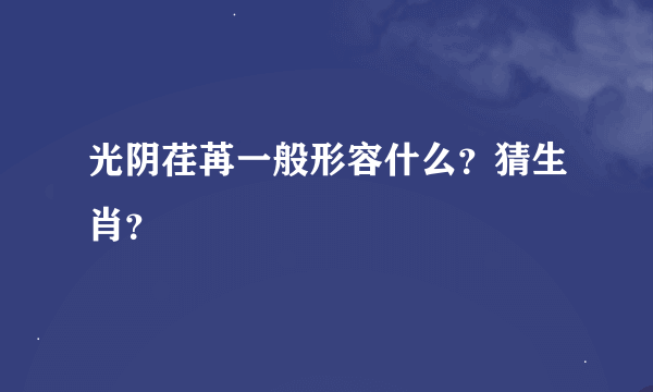 光阴荏苒一般形容什么？猜生肖？