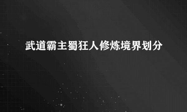 武道霸主蜀狂人修炼境界划分