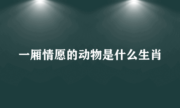 一厢情愿的动物是什么生肖