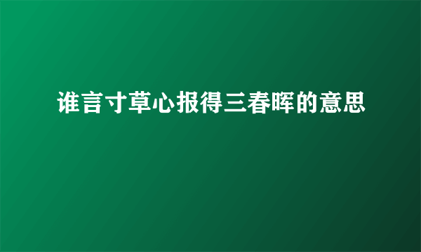 谁言寸草心报得三春晖的意思