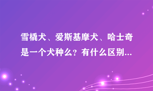 雪橇犬、爱斯基摩犬、哈士奇是一个犬种么？有什么区别？如何辨别这三种狗？谢谢！