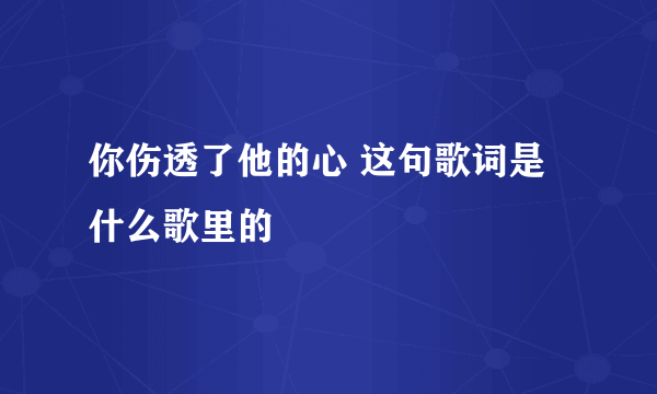 你伤透了他的心 这句歌词是什么歌里的