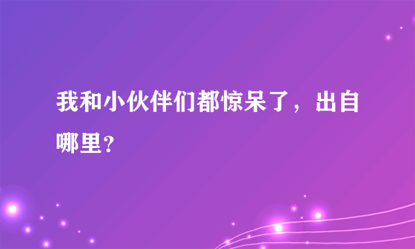 我和小伙伴们都惊呆了，出自哪里？