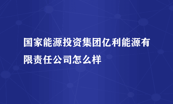 国家能源投资集团亿利能源有限责任公司怎么样