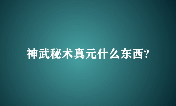 神武秘术真元什么东西?