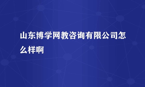 山东博学网教咨询有限公司怎么样啊