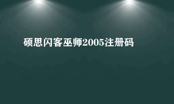 硕思闪客巫师2005注册码