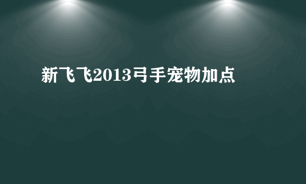 新飞飞2013弓手宠物加点