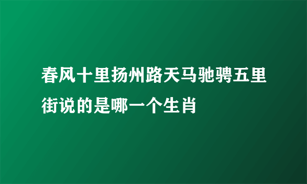 春风十里扬州路天马驰骋五里街说的是哪一个生肖