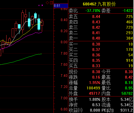 600462 石岘纸业为什么更名为九有股份