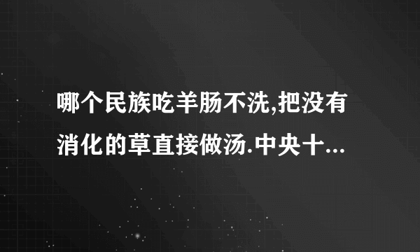 哪个民族吃羊肠不洗,把没有消化的草直接做汤.中央十频道演过的