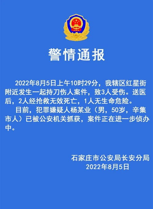 警方通报：石家庄一男子持刀伤人致2死，案件哪些详情值得关注？