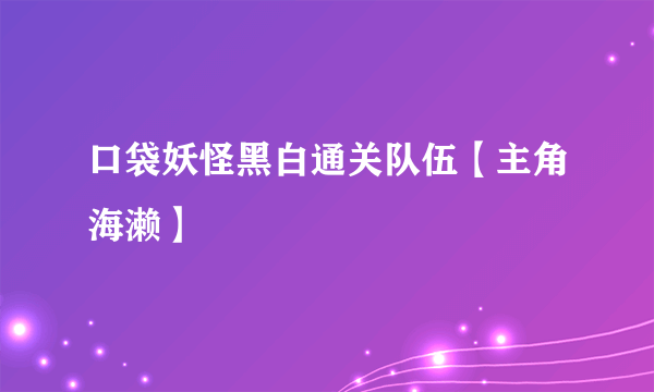 口袋妖怪黑白通关队伍【主角海濑】