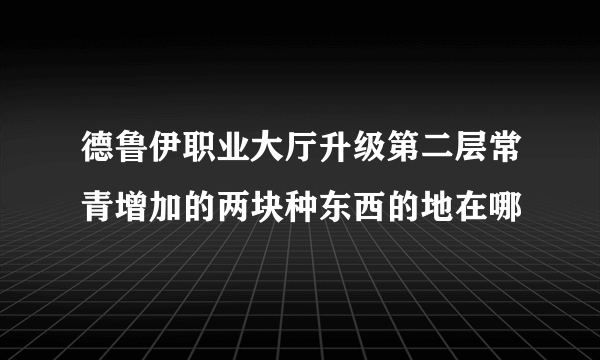 德鲁伊职业大厅升级第二层常青增加的两块种东西的地在哪