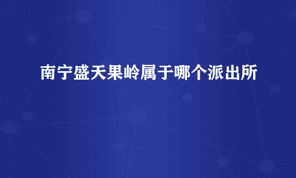 南宁盛天果岭属于哪个派出所