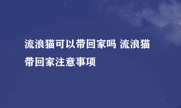 流浪猫可以带回家吗 流浪猫带回家注意事项