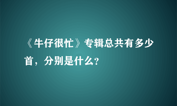 《牛仔很忙》专辑总共有多少首，分别是什么？