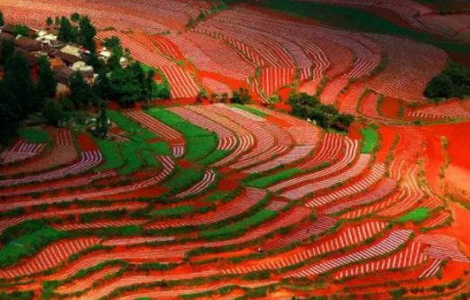 东川红土地最佳旅游时间