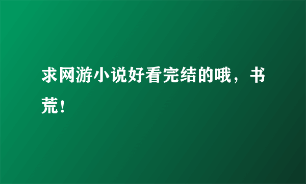 求网游小说好看完结的哦，书荒！