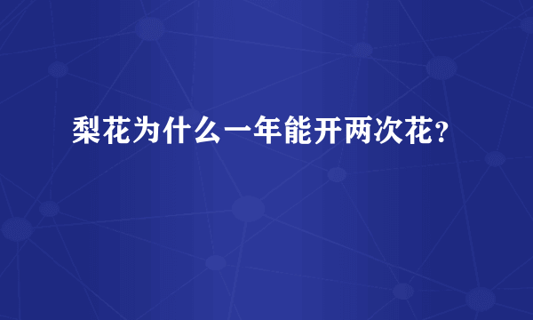 梨花为什么一年能开两次花？