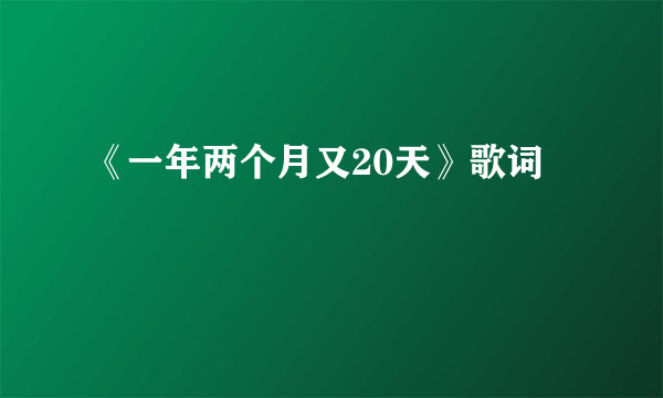 《一年两个月又20天》歌词