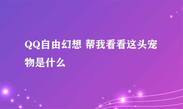 QQ自由幻想 帮我看看这头宠物是什么