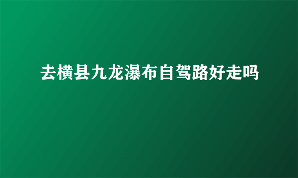 去横县九龙瀑布自驾路好走吗