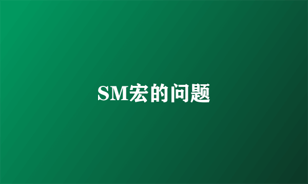 SM宏的问题