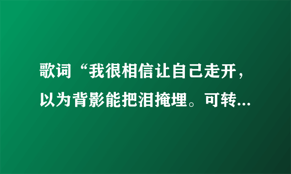 歌词“我很相信让自己走开，以为背影能把泪掩埋。可转过身我才发现，心疼还是那样的实在。”的歌名是什么？