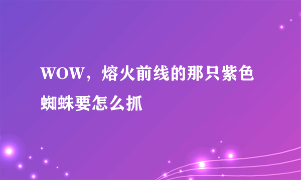 WOW，熔火前线的那只紫色蜘蛛要怎么抓