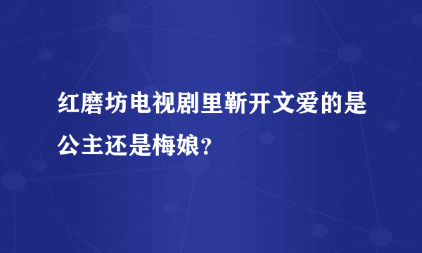 红磨坊电视剧里靳开文爱的是公主还是梅娘？