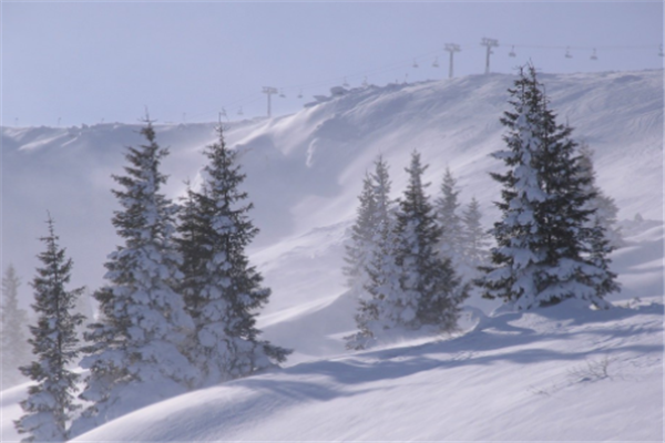 内蒙古多地发生特大暴雪，专家称有可能引发雪灾，市民该做好哪些预防措施？