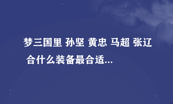 梦三国里 孙坚 黄忠 马超 张辽 合什么装备最合适、本人新手