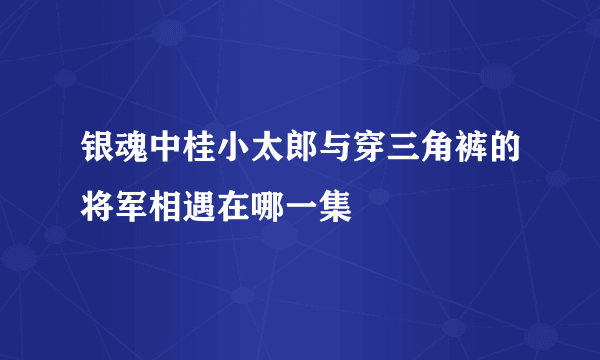 银魂中桂小太郎与穿三角裤的将军相遇在哪一集