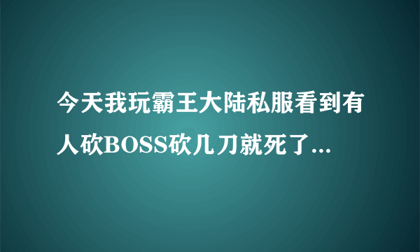 今天我玩霸王大陆私服看到有人砍BOSS砍几刀就死了，这是上挂吗？