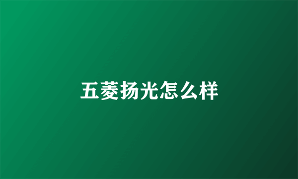 五菱扬光怎么样