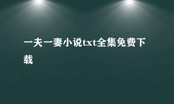 一夫一妻小说txt全集免费下载