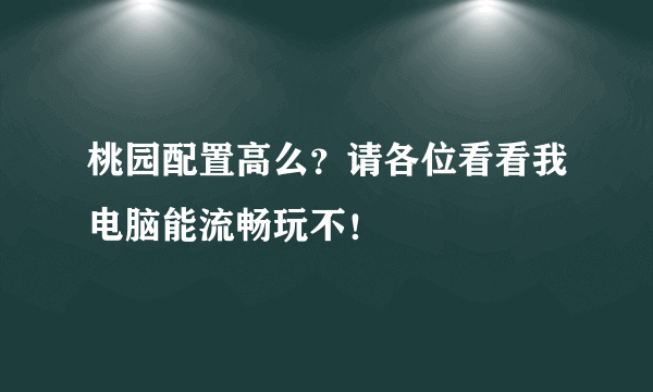 桃园配置高么？请各位看看我电脑能流畅玩不！