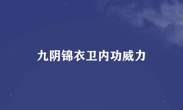 九阴锦衣卫内功威力