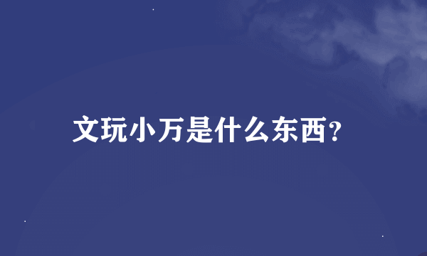 文玩小万是什么东西？