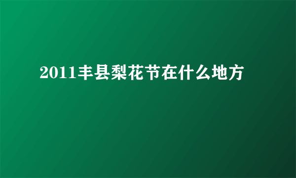 2011丰县梨花节在什么地方