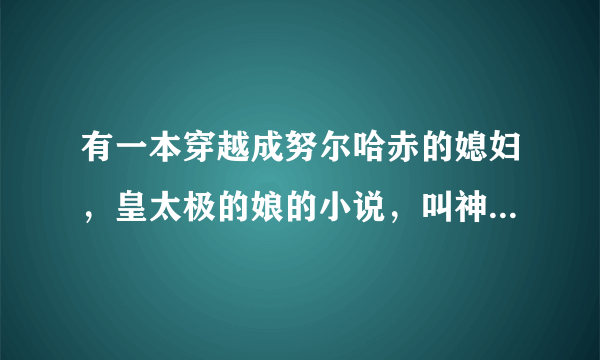 有一本穿越成努尔哈赤的媳妇，皇太极的娘的小说，叫神马名字？