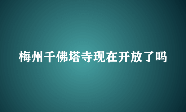 梅州千佛塔寺现在开放了吗